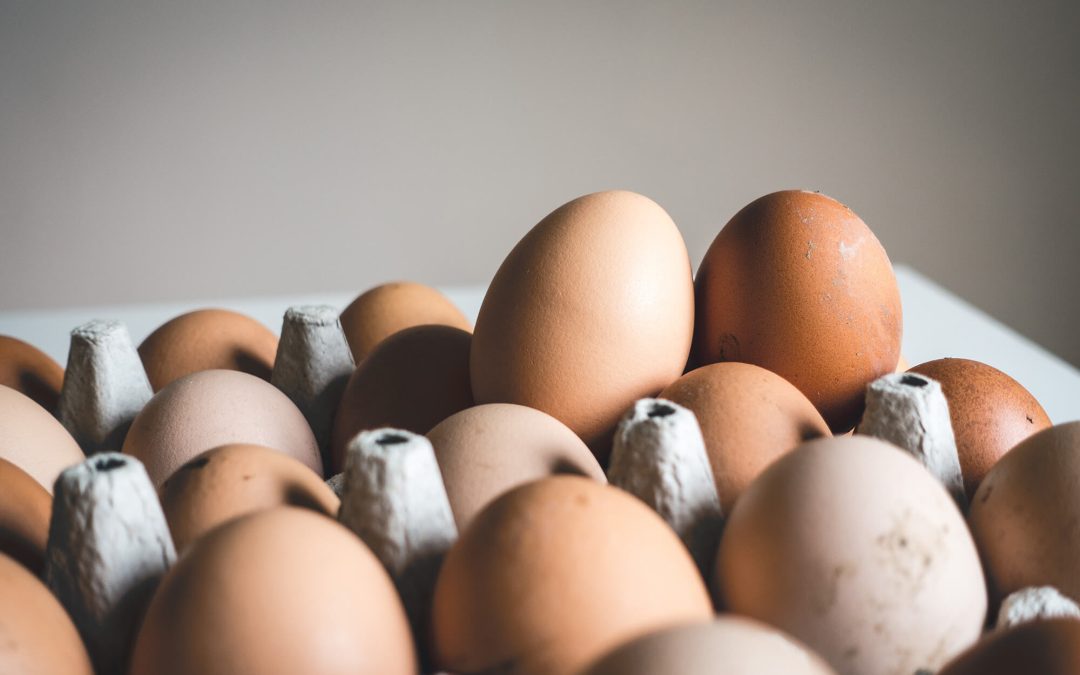 Omelete de atum marinado